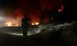 यूटा में जंगल की आग बुझाते वक्त हेलीकॉप्टर गिरा, दो लोग लापता यूटा में जंगल की आग बुझाते वक्त हेलीकॉप्टर गिरा, दो लोग लापता