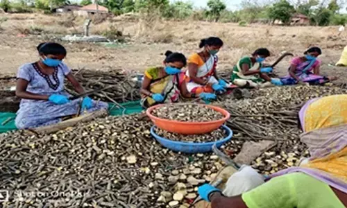 उपभोक्तावादी विनाश से आदिवासी आर्थिकी ही बचाएगी