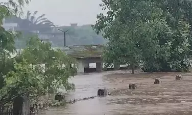 मध्य प्रदेश: भारी बारिश से नर्मदा नदी उफान पर, डिंडोरी-जबलपुर सड़क संपर्क टूटने से स्कूल बंद मध्य प्रदेश: भारी बारिश से नर्मदा नदी उफान पर, डिंडोरी-जबलपुर सड़क संपर्क टूटने से स्कूल बंद