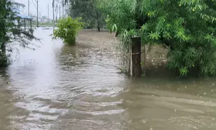 मध्य प्रदेश में भारी बारिश से जनजीवन अस्त-व्यस्त, भोपाल सहित कई जिलों में स्कूल बंद मध्य प्रदेश में भारी बारिश से जनजीवन अस्त-व्यस्त, भोपाल सहित कई जिलों में स्कूल बंद
