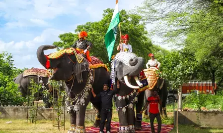 विश्व हाथी दिवस : हाथियों को यूं ही नहीं कहते धरती के सबसे बड़े क्लाइमेट हीरो और इकोसिस्टम इंजीनियर विश्व हाथी दिवस : हाथियों को यूं ही नहीं कहते धरती के सबसे बड़े क्लाइमेट हीरो और इकोसिस्टम इंजीनियर