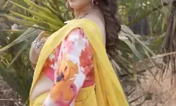 बहुत जताते हो, चाह हमसे गाना: मीनाक्षी शेषाद्रि