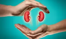 विश्व अंग दान दिवस : जिंदगी के सफर में विराम से भी संभव जीवनदान... विश्व अंग दान दिवस : जिंदगी के सफर में विराम से भी संभव जीवनदान...