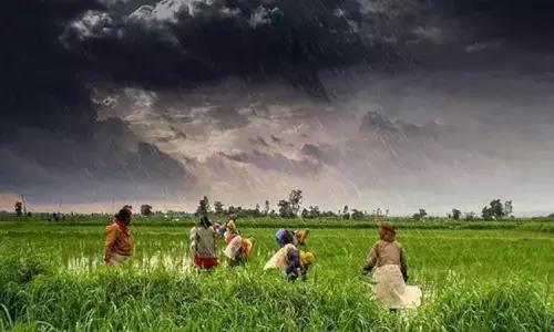 भारी वर्षा और धराशायी होती हरियाली