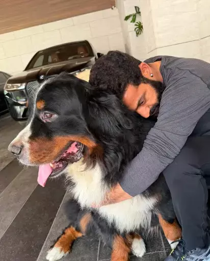 जूनियर एनटीआर ने पेट डॉग बघीरा की याद में लगाया पेड़