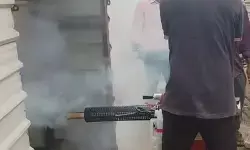 मच्छर से होने वाली बीमारियों के खिलाफ गुजरात का असरदार काम, मलेरिया में 45 तो डेंगू में 39 प्रतिशत की कमी मच्छर से होने वाली बीमारियों के खिलाफ गुजरात का असरदार काम, मलेरिया में 45 तो डेंगू में 39 प्रतिशत की कमी