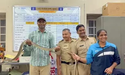 शाहरुख खान के मन्नत में घुसा 8 फीट लंबा सांप