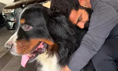 जूनियर एनटीआर ने पेट डॉग बघीरा की याद में लगाया पेड़ जूनियर एनटीआर ने पेट डॉग बघीरा की याद में लगाया पेड़