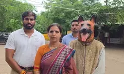 खंडवा में डॉग मास्क पहनकर प्रदर्शन, 40 लाख के घोटाले का आरोप, निगम बोला- आरोप बेबुनियाद खंडवा में डॉग मास्क पहनकर प्रदर्शन, 40 लाख के घोटाले का आरोप, निगम बोला- आरोप बेबुनियाद