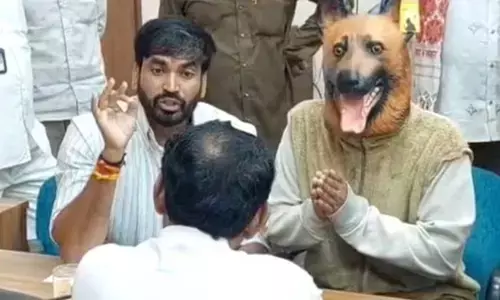 MP News: कुत्ते का मुखौटा पहनकर जनसुनवाई में पहुंचा युवक, आवारा कुत्तों के मुद्दे पर अनोखा प्रदर्शन MP News: कुत्ते का मुखौटा पहनकर जनसुनवाई में पहुंचा युवक, आवारा कुत्तों के मुद्दे पर अनोखा प्रदर्शन