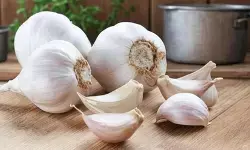 लहसुन की 1-2 कलियां रोज खाये, दिल से लेकर पेट तक फायदे ही फायदे