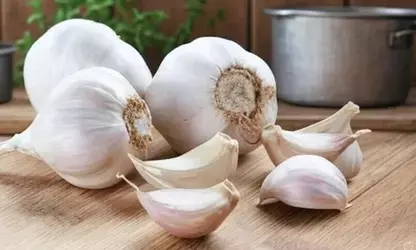 लहसुन की 1-2 कलियां रोज खाये, दिल से लेकर पेट तक फायदे ही फायदे