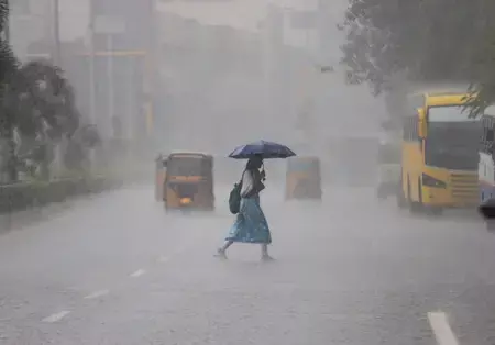 चेन्नई और आस-पास के जिलों में बारिश और आंधी-तूफान की संभावना चेन्नई और आस-पास के जिलों में बारिश और आंधी-तूफान की संभावना