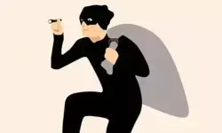 330 किलो बाल चोरी ने उड़ाई पुलिस की नींद: बांग्लादेश 330 किलो बाल चोरी ने उड़ाई पुलिस की नींद: बांग्लादेश