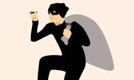 330 किलो बाल चोरी ने उड़ाई पुलिस की नींद: बांग्लादेश 330 किलो बाल चोरी ने उड़ाई पुलिस की नींद: बांग्लादेश