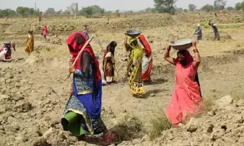 व्हीबी-जी राम-जी की पहली परीक्षा : रोजगार आधा क्यों हुआ?