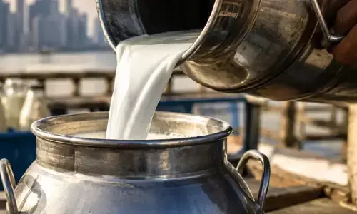 त्योहारों से पहले महंगाई का झटका, मुंबई में दूध के दाम ₹9 प्रति लीटर बढ़े; 1 सितंबर से नई दर