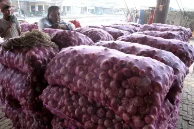तमिलनाडु में जल्द सस्ता मिलेगा प्याज तमिलनाडु में जल्द सस्ता मिलेगा प्याज