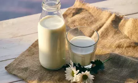 क्या आपकी कैल्शियम की पूर्ति पर्याप्त है? जानिए स्रोत, फायदे और रोजाना कितनी जरूरत