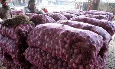 तमिलनाडु में जल्द सस्ता मिलेगा प्याज तमिलनाडु में जल्द सस्ता मिलेगा प्याज
