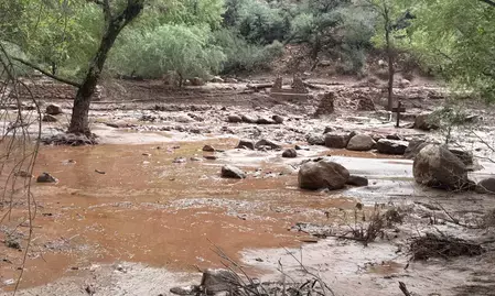 अमेरिका के ग्रैंड कैन्यन में अचानक आई बाढ़ में 20 से ज्यादा लोग लापता, राहत-बचाव अभियान जारी अमेरिका के ग्रैंड कैन्यन में अचानक आई बाढ़ में 20 से ज्यादा लोग लापता, राहत-बचाव अभियान जारी