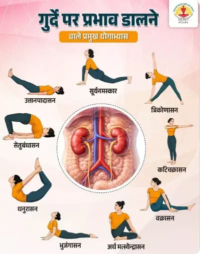 गुर्दा सही से चले तो करे योगाभ्यास, जानें करने का सही तरीका गुर्दा सही से चले तो करे योगाभ्यास, जानें करने का सही तरीका