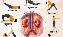 गुर्दा सही से चले तो करे योगाभ्यास, जानें करने का सही तरीका गुर्दा सही से चले तो करे योगाभ्यास, जानें करने का सही तरीका