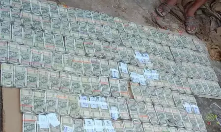 छत्तीसगढ़ : खैर की लकड़ी के अवैध परिवहन और फर्जी एनओसी मामले में बड़ी कार्रवाई, 81 लाख रुपए नकद जब्त छत्तीसगढ़ : खैर की लकड़ी के अवैध परिवहन और फर्जी एनओसी मामले में बड़ी कार्रवाई, 81 लाख रुपए नकद जब्त