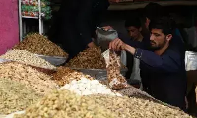 अफगान मीडिया का बड़ा दावा, कंधार में फंसे भारतीय व्यापारी सूखे मेवे की खरीद और नए व्यापारिक रास्तों की तलाश में जुटे
