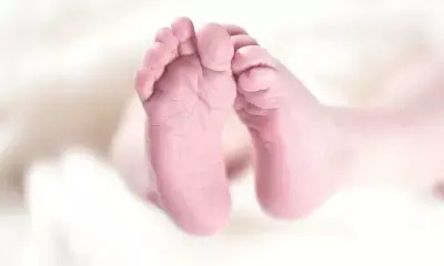 अमरावती अस्पताल अग्निकांड: तीन नवजातों की मौत पर पांच वरिष्ठ स्वास्थ्य अधिकारी निलंबित अमरावती अस्पताल अग्निकांड: तीन नवजातों की मौत पर पांच वरिष्ठ स्वास्थ्य अधिकारी निलंबित
