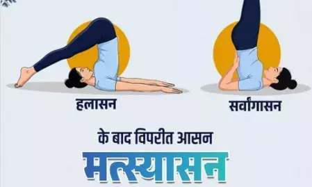 सर्वांगासन-हलासन के बाद क्यों जरूरी है मत्स्यासन सर्वांगासन-हलासन के बाद क्यों जरूरी है मत्स्यासन