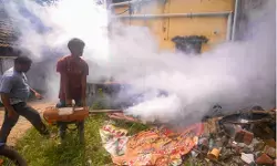 चेन्नई में बुखार और डेंगू के मामलों में तेज बढ़ोतरी, डॉक्टरों ने सावधानी बरतने की दी सलाह चेन्नई में बुखार और डेंगू के मामलों में तेज बढ़ोतरी, डॉक्टरों ने सावधानी बरतने की दी सलाह