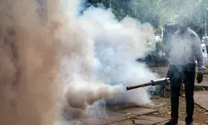 पश्चिम बंगाल में डेंगू का कहर, 29 नगर पालिकाएं और 278 ग्राम पंचायतें हॉटस्पॉट घोषित पश्चिम बंगाल में डेंगू का कहर, 29 नगर पालिकाएं और 278 ग्राम पंचायतें हॉटस्पॉट घोषित