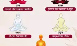 शरीर में बहती हैं 5 प्राण ऊर्जाएं, जाने इनके काम शरीर में बहती हैं 5 प्राण ऊर्जाएं, जाने इनके काम