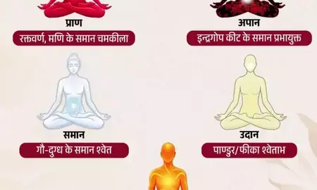 शरीर में बहती हैं 5 प्राण ऊर्जाएं, जाने इनके काम शरीर में बहती हैं 5 प्राण ऊर्जाएं, जाने इनके काम