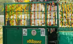 सीएम मोहन यादव ने चीता को गांधी सागर अभयारण्य में छोड़ा, बोले- पर्यावरण तंत्र को और मजबूत करने की जरूरत