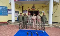 बीजापुर: जंगल में छिपाकर रखा गया हथियारों का जखीरा बरामद, एके-47 समेत चार हथियार और 76 जिंदा कारतूस जब्त