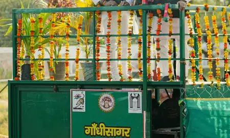 सीएम मोहन यादव ने चीता को गांधी सागर अभयारण्य में छोड़ा, बोले- पर्यावरण तंत्र को और मजबूत करने की जरूरत सीएम मोहन यादव ने चीता को गांधी सागर अभयारण्य में छोड़ा, बोले- पर्यावरण तंत्र को और मजबूत करने की जरूरत