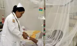 डेंगू से सितंबर में सबसे ज्यादा मौतें: बांग्लादेश डेंगू से सितंबर में सबसे ज्यादा मौतें: बांग्लादेश