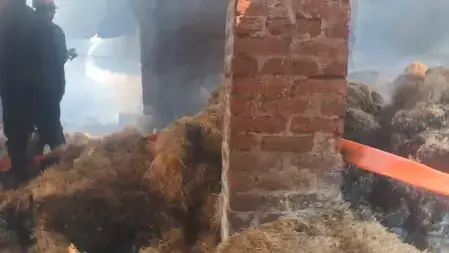 गाजियाबाद में कूलिंग पैड बनाने वाली फैक्ट्री में भीषण आग: धू-धू कर जला करोड़ों का सामान; 8 फायर टेंडरों ने कड़ी मशक्कत के बाद पाया काबू गाजियाबाद में कूलिंग पैड बनाने वाली फैक्ट्री में भीषण आग: धू-धू कर जला करोड़ों का सामान; 8 फायर टेंडरों ने कड़ी मशक्कत के बाद पाया काबू