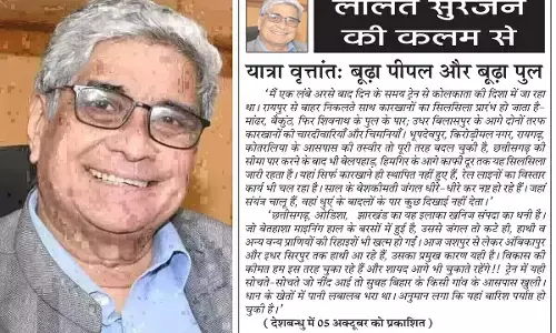ललित सुरजन की कलम से यात्रा वृत्तांत: बूढ़ा पीपल और बूढ़ा पुल ललित सुरजन की कलम से यात्रा वृत्तांत: बूढ़ा पीपल और बूढ़ा पुल