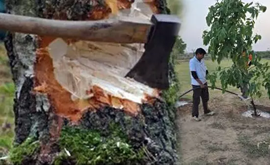 पेड़ लगाना पानी को बचाना भी है पेड़ लगाना पानी को बचाना भी है
