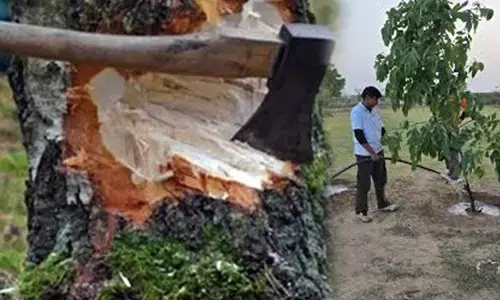 पेड़ लगाना पानी को बचाना भी है