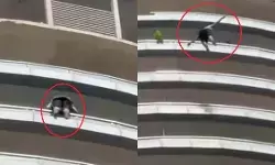 सुपरनोवा की स्पायरा बिल्डिंग से युवक ने लगाई छलांग, मौके पर हुई मौत सुपरनोवा की स्पायरा बिल्डिंग से युवक ने लगाई छलांग, मौके पर हुई मौत