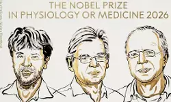 2026 Nobel Prize: दिमाग की यादों और भावनाओं का राज खोलने वाले 3 वैज्ञानिकों को मेडिसिन का नोबेल