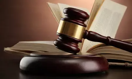 लाइसेंस के बिना जानवरों की बिक्री नहीं, कलकत्ता हाई कोर्ट का सख्त निर्देश