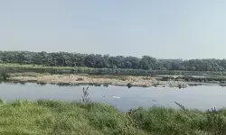 गुजरात : वापी के पास 159.5 करोड़ रुपए से बनेगा बैराज, पानी की सप्लाई होगी बेहतर गुजरात : वापी के पास 159.5 करोड़ रुपए से बनेगा बैराज, पानी की सप्लाई होगी बेहतर