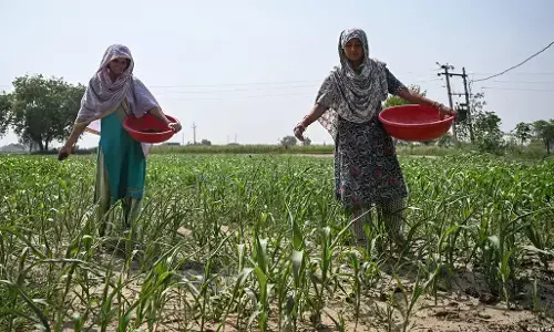 कमजोर मानसून के बाद भारत में पानी और बिजली की किल्लत