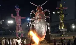 दिल्ली में रावण के साथ कॉक्रोच के पुतले का भी दहन, दशहरा में दिखी अनोखी परंपरा दिल्ली में रावण के साथ कॉक्रोच के पुतले का भी दहन, दशहरा में दिखी अनोखी परंपरा