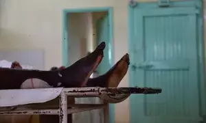 राजस्थान में दर्दनाक हादसा, मवेशियों को बचाने की कोशिश में पति-पत्नी की करंट लगने से मौत राजस्थान में दर्दनाक हादसा, मवेशियों को बचाने की कोशिश में पति-पत्नी की करंट लगने से मौत